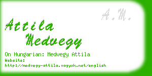 attila medvegy business card